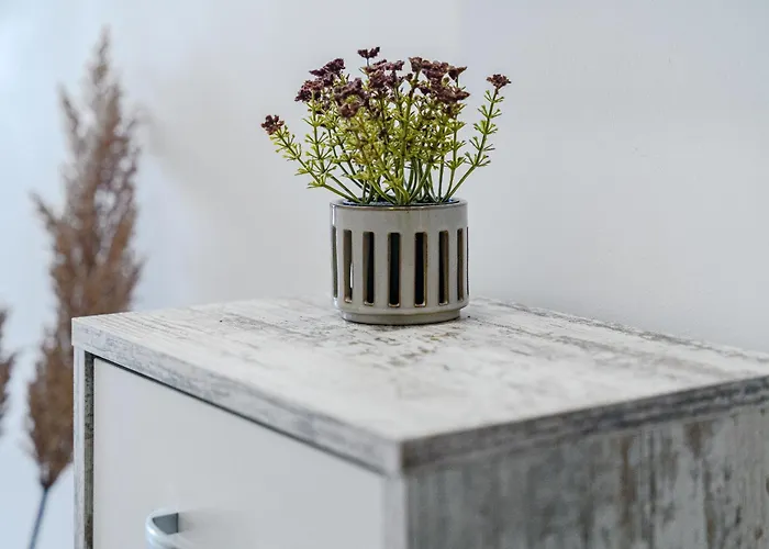 Lägenhet Pambnb Playa De Americas 1br With Pool Playa de las Americas (Tenerife)